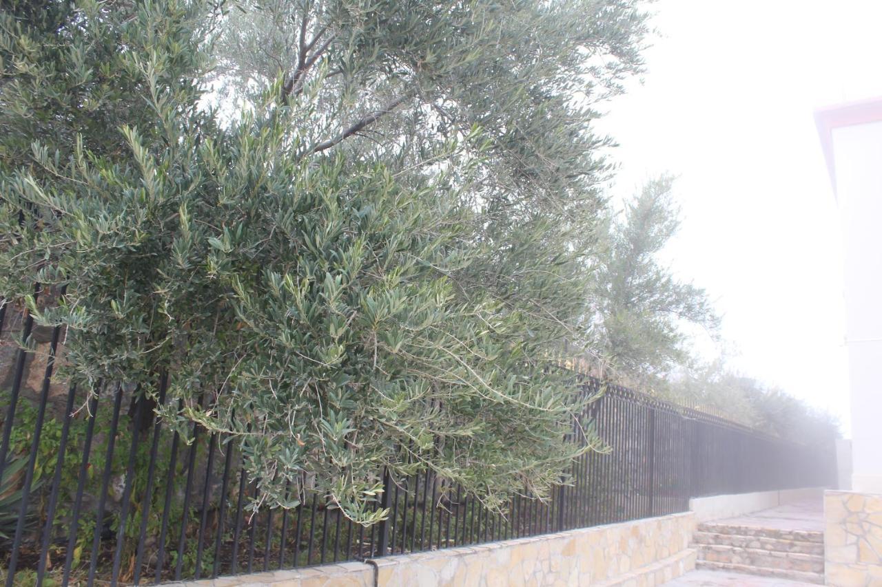 Asas Al Jabal Al Akhdar Apartments شقق أساس الجبل الأخضر Sayq Eksteriør bilde